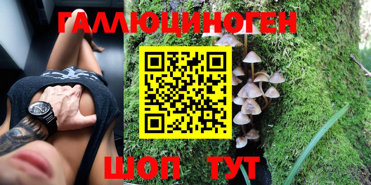 Галлюциногенные грибы Psilocybe  Псилоцибиновые грибы Magic Shrooms  Вход с VPN  Дивногорск 